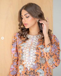 2 Piece Stitched Cotton Suit - Ready To Wear