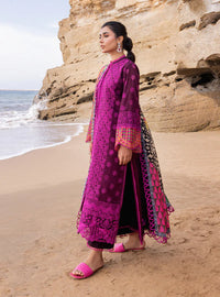 3 Piece Stitched Chikankari Suit - Ready To Wear