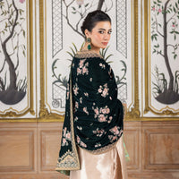 3 Piece Stitched Velvet Suit - Ready To Wear