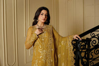 Designer Suit Embroidered Chiffon Suit Ready To Wear