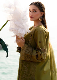 03-Piece Cotton Suit With Embroidery - Ready To Wear
