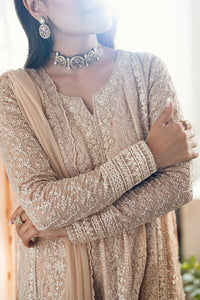 3 Piece Stitched Embroidery Chiffon Suit - Ready To Wear