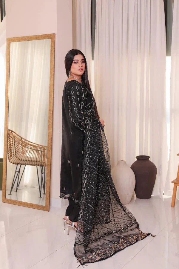 3 Piece Organza Regal Aura-Ready To Wear