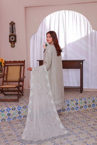 Chiffon Luxe 3 Piece Suit Ready to Wear