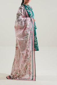 3 Piece Stitched Lawn Suit - Ready To Wear