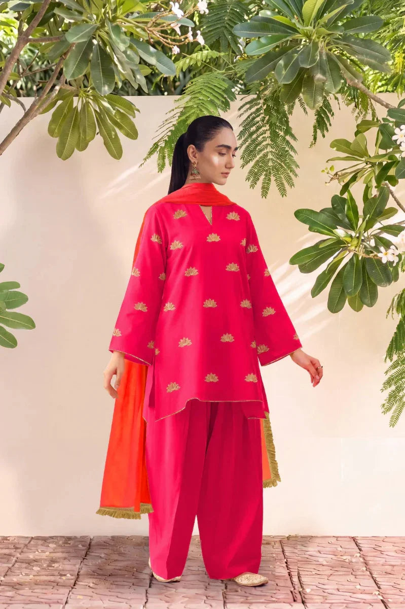HANIYA - PINK FARSHI SET