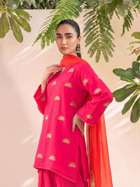 HANIYA - PINK FARSHI SET