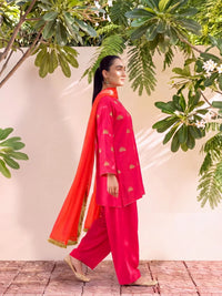HANIYA - PINK FARSHI SET