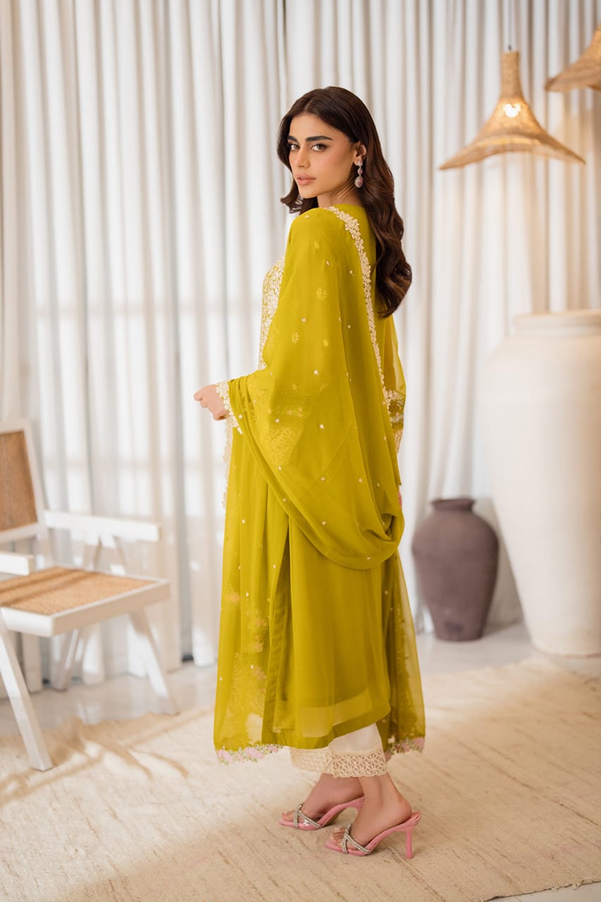 03-Piece Chiffon Suit With Embroidery | Ready To Wear