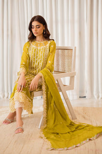 03-Piece Chiffon Suit With Embroidery | Ready To Wear