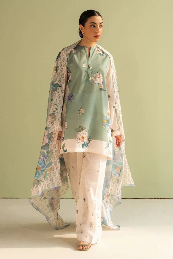 3 Piece Stitched Printed Lawn Suit - Ready To Wear